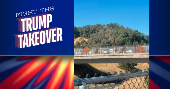 Be the Overpass Crew: Sign Waving for Democracy