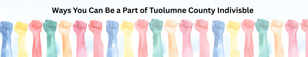 Ways You Can Be a Part of Tuolumne County Indivisible